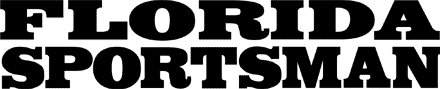 FS-logo